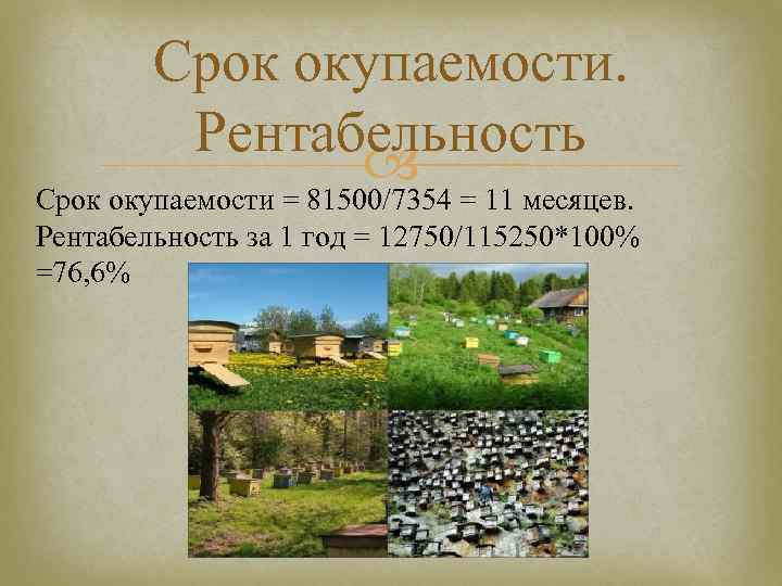 Срок окупаемости. Рентабельность Срок окупаемости = 81500/7354 = 11 месяцев. Рентабельность за 1 год