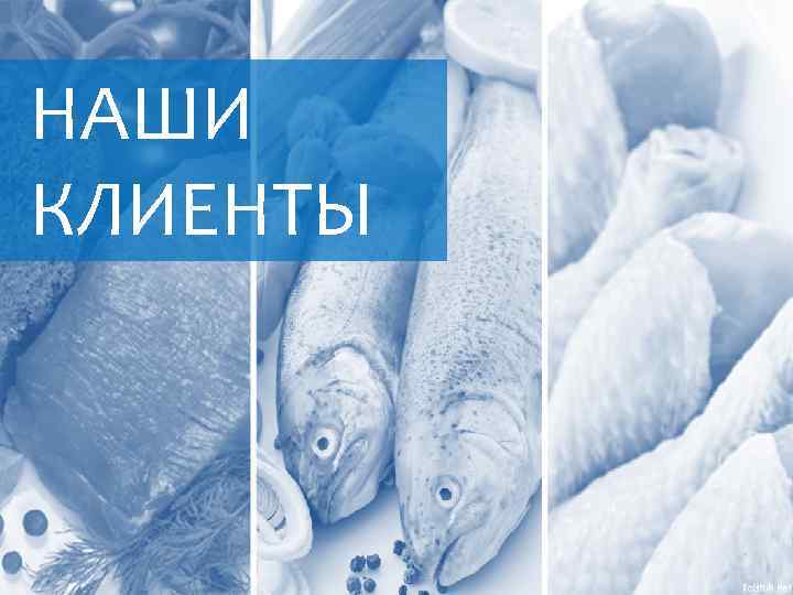 НАШИ КЛИЕНТЫ 