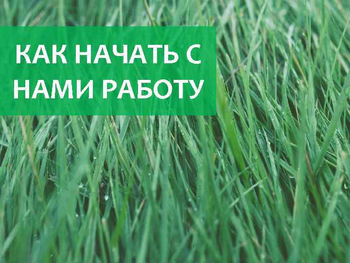КАК НАЧАТЬ С НАМИ РАБОТУ 