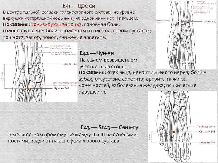 E 41 —Цзе-си В центре тыльной складки голеностопного сустава, на уровне внрхушки латеральной лодыжки