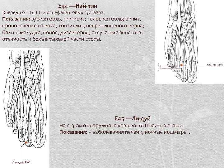 E 44 —Нэй-тин Кпереди от II и III плюснефаланговых суставов. Показания: зубная боль, гингивит;