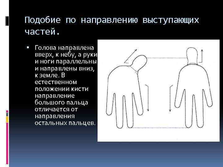 Подобие по направлению выступающих частей. Голова направлена вверх, к небу, а руки и ноги