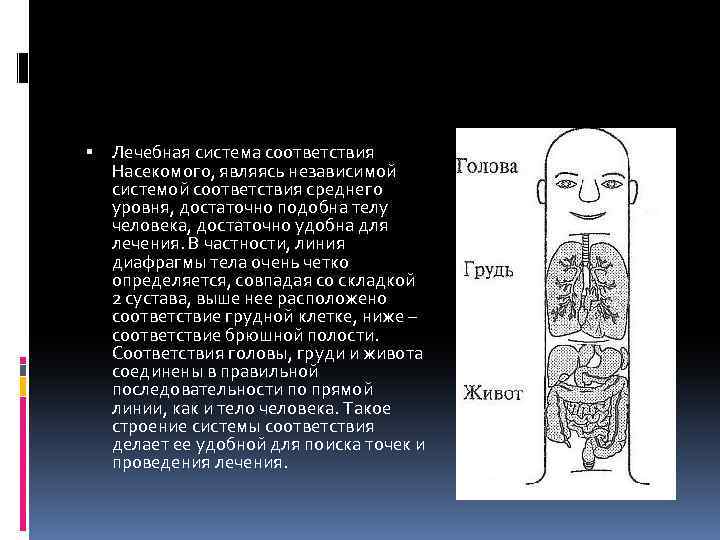  Лечебная система соответствия Насекомого, являясь независимой системой соответствия среднего уровня, достаточно подобна телу