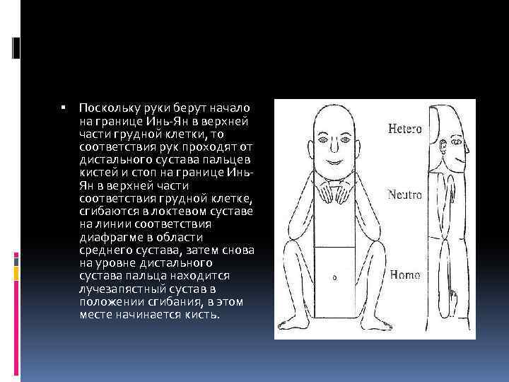  Поскольку руки берут начало на границе Инь-Ян в верхней части грудной клетки, то