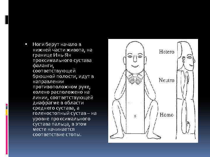  Ноги берут начало в нижней части живота, на границе Инь-Ян проксимального сустава фаланги,