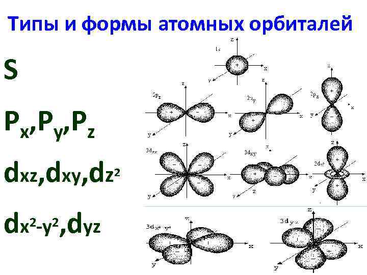 Типы и формы атомных орбиталей S Px, Py, Pz dxz, dxy, dz dx 2