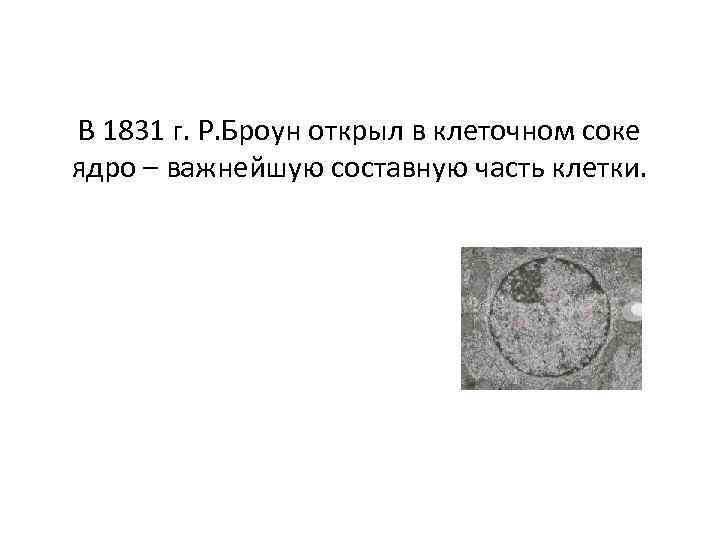 В 1831 г. Р. Броун открыл в клеточном соке ядро – важнейшую составную часть