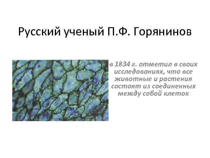 Русский ученый П. Ф. Горянинов в 1834 г. отметил в своих исследованиях, что все