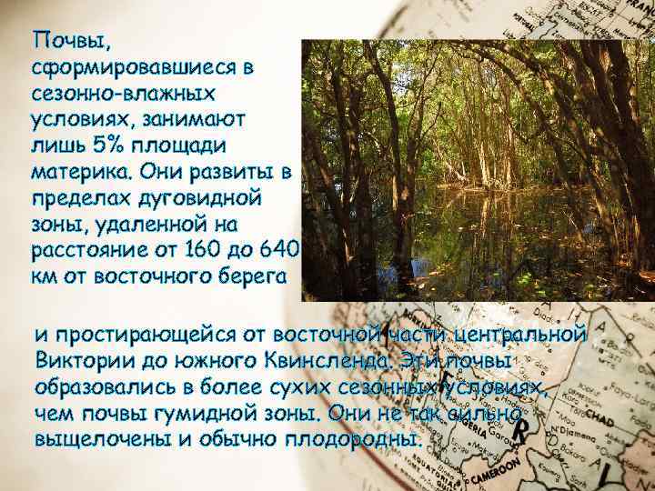 Почвы, сформировавшиеся в сезонно-влажных условиях, занимают лишь 5% площади материка. Они развиты в пределах