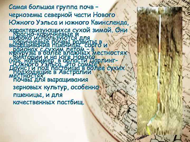 Самая большая группа почв – черноземы северной части Нового Южного Уэльса и южного Квинсленда,