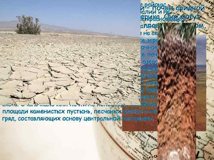 Наиболее продуктивны пустынные суглинистые районы, Самая большая группа почв Австралии – почвы аридной поросшие