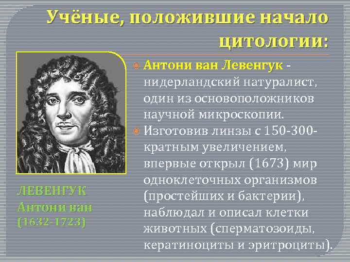 Учёные, положившие начало цитологии: Антони ван Левенгук - Антони ван Левенгук ЛЕВЕНГУК Антони ван