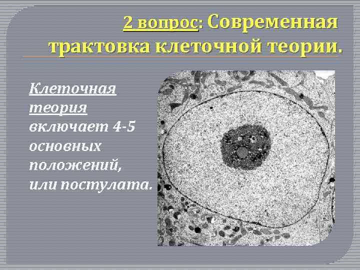 2 вопрос: Современная трактовка клеточной теории. Клеточная теория включает 4 -5 основных положений, или