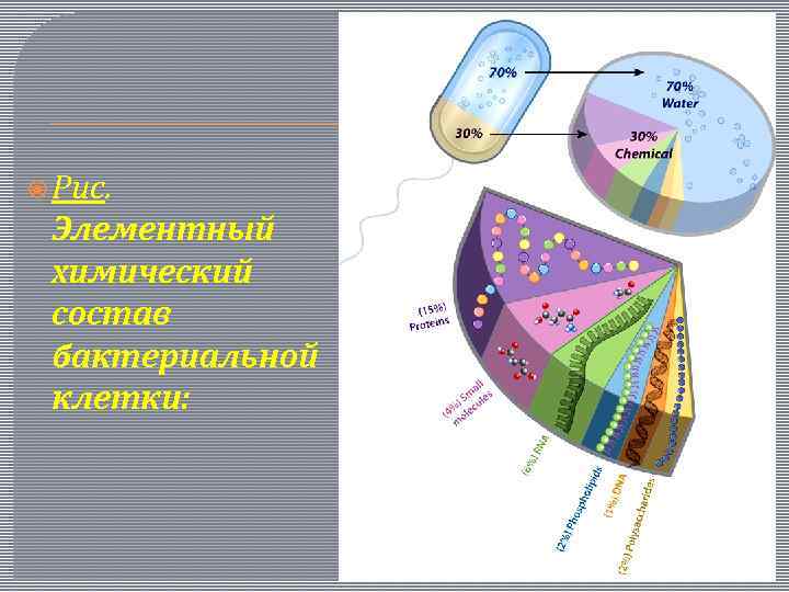  Рис. Элементный химический состав бактериальной клетки: 