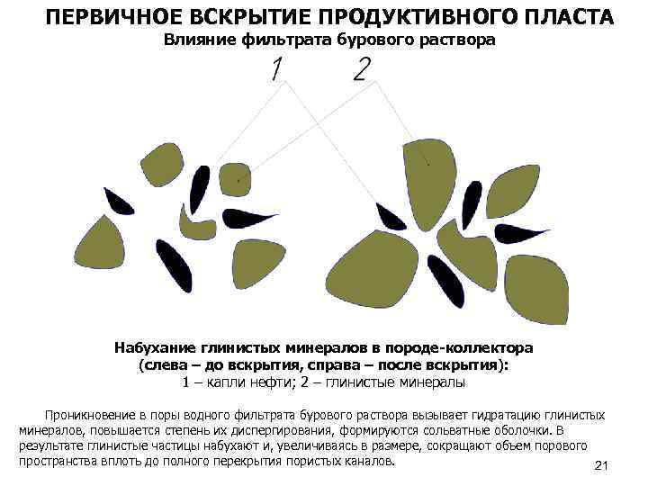 ПЕРВИЧНОЕ ВСКРЫТИЕ ПРОДУКТИВНОГО ПЛАСТА Влияние фильтрата бурового раствора Набухание глинистых минералов в породе-коллектора (слева