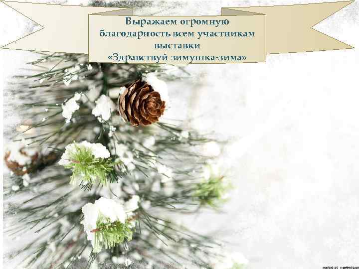 Выражаем огромную благодарность всем участникам выставки «Здравствуй зимушка-зима» 