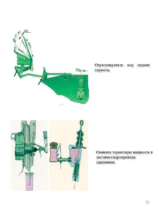 Отрегулировать ход педали тормоза. Сменить тормозную жидкость в системе гидропривода сцепления. 75 