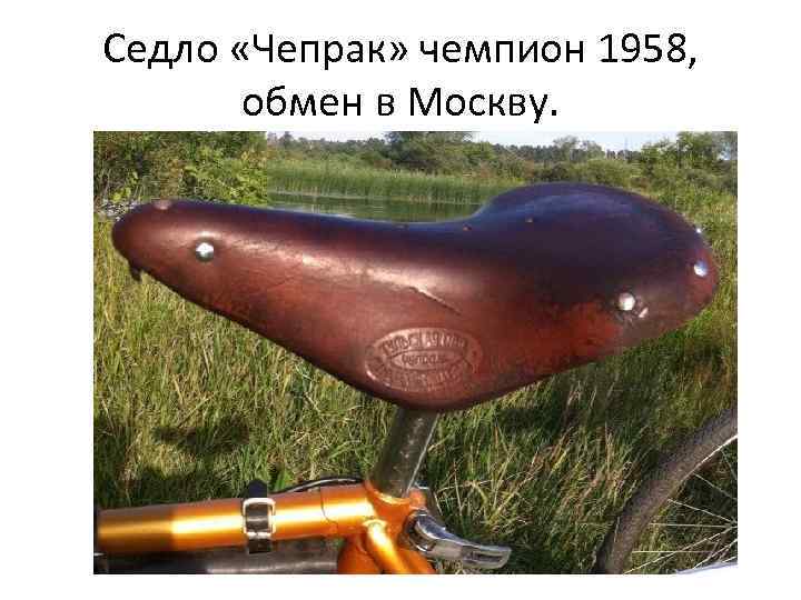 Седло «Чепрак» чемпион 1958, обмен в Москву. 