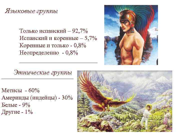 Языковые группы Только испанский – 92, 7% Испанский и коренные – 5, 7% Коренные