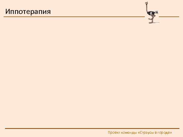 Иппотерапия Проект команды «Страусы в городе» 