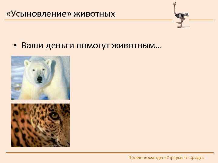  «Усыновление» животных • Ваши деньги помогут животным… Проект команды «Страусы в городе» 