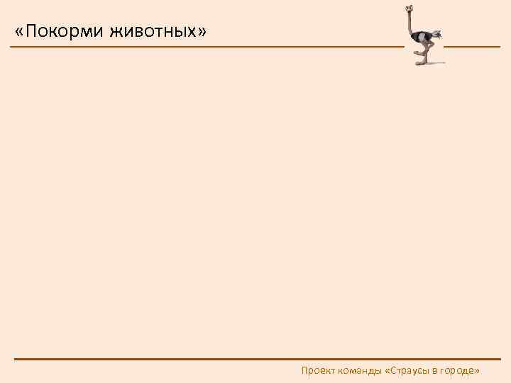  «Покорми животных» Проект команды «Страусы в городе» 