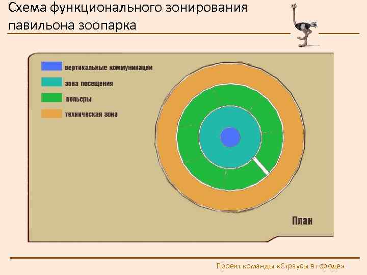 Схема функционального зонирования павильона зоопарка Проект команды «Страусы в городе» 