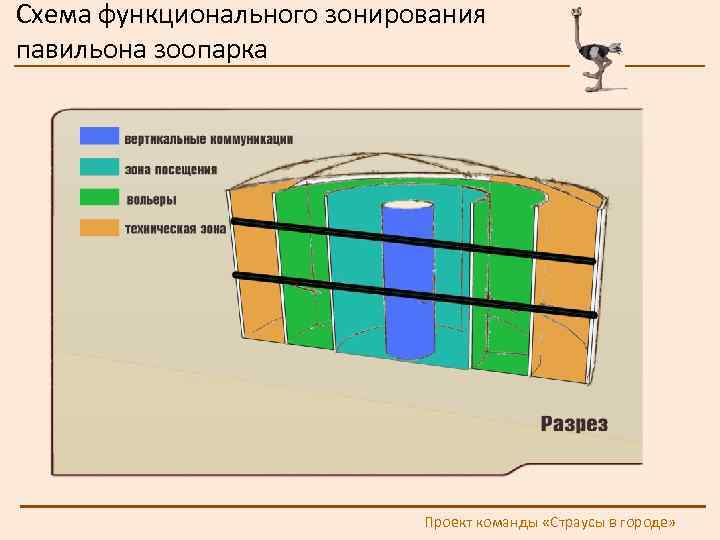 Схема функционального зонирования павильона зоопарка Проект команды «Страусы в городе» 