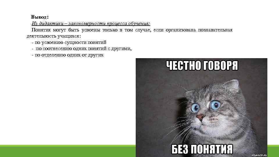 Вывод: Из дидактики – закономерности процесса обучения: Понятия могут быть усвоены только в том