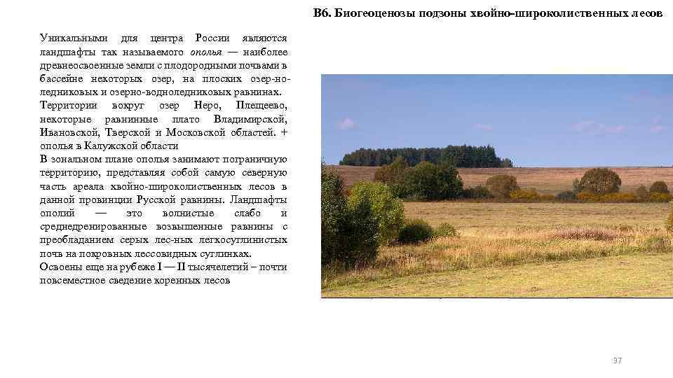 В 6. Биогеоценозы подзоны хвойно-широколиственных лесов Уникальными для центра России являются ландшафты так называемого