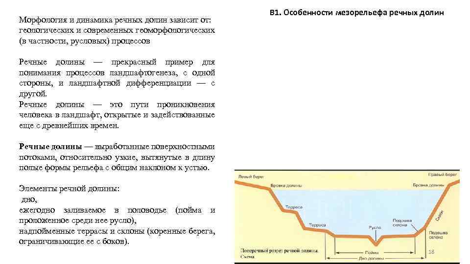 Морфология и динамика речных долин зависит от: геологических и современных геоморфологических (в частности, русловых)