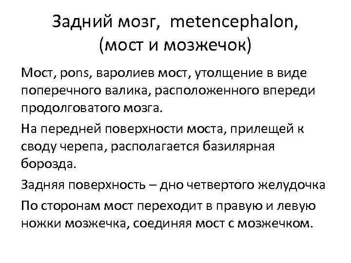 Задний мозг, metencephalon, (мост и мозжечок) Мост, pons, варолиев мост, утолщение в виде поперечного