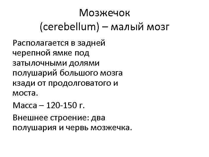 Мозжечок (cerebellum) – малый мозг Располагается в задней черепной ямке под затылочными долями полушарий