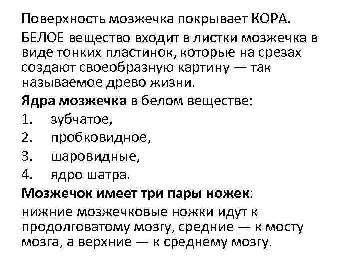 Поверхность мозжечка покрывает КОРА. БЕЛОЕ вещество входит в листки мозжечка в виде тонких пластинок,