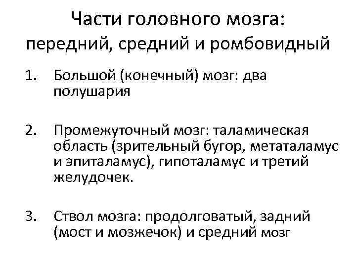 Части головного мозга: передний, средний и ромбовидный 1. Большой (конечный) мозг: два полушария 2.