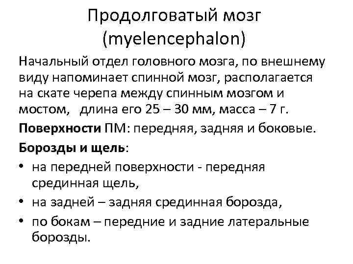 Продолговатый мозг (myelencephalon) Начальный отдел головного мозга, по внешнему виду напоминает спинной мозг, располагается