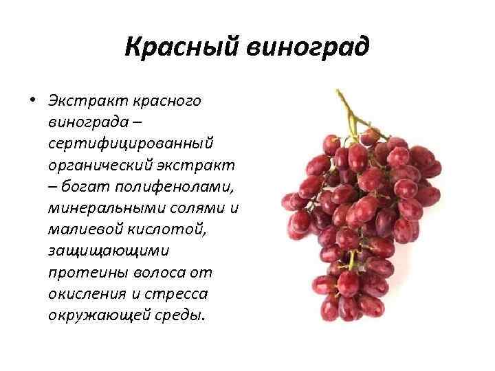 Красный виноград • Экстракт красного винограда – сертифицированный органический экстракт – богат полифенолами, минеральными