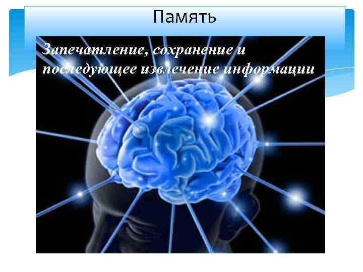 Память Запечатление, сохранение и последующее извлечение информации Запечатление, сохрарнение и последующее извлечение информации 