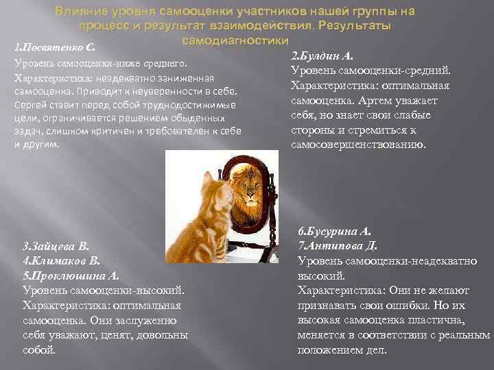 Влияние уровня самооценки участников нашей группы на процесс и результат взаимодействия. Результаты самодиагностики 1.