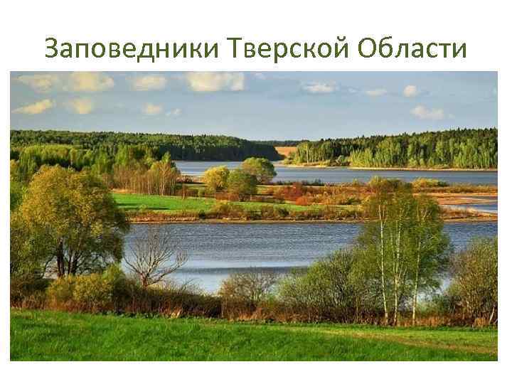 Заповедники Тверской Области 