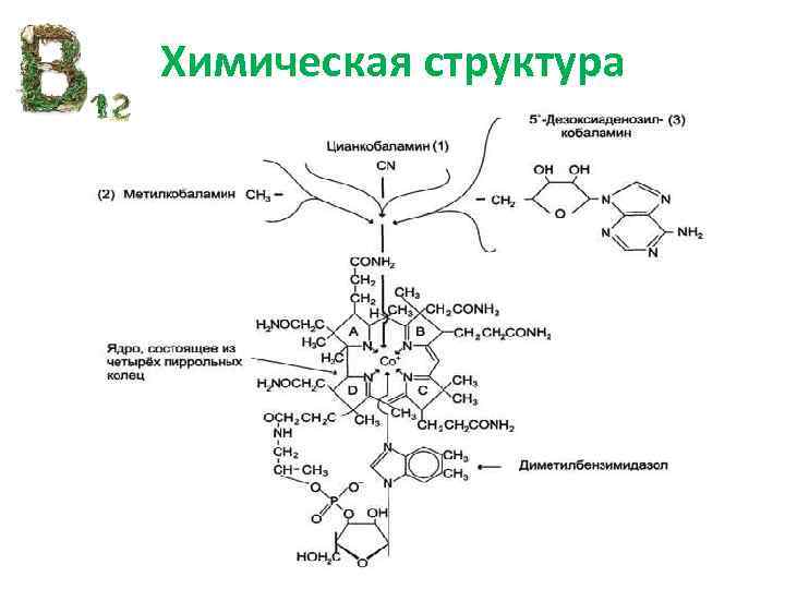 Химическая структура 