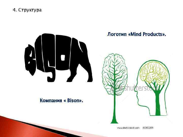 4. Структура Логотип «Mind Products» . Компания « Bison» . 