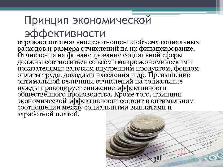 Принцип экономической эффективности отражает оптимальное соотношение объема социальных расходов и размера отчислений на их