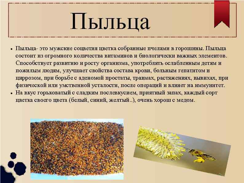 Пыльца l l Пыльца- это мужские соцветия цветка собранные пчелами в горошины. Пыльца состоит