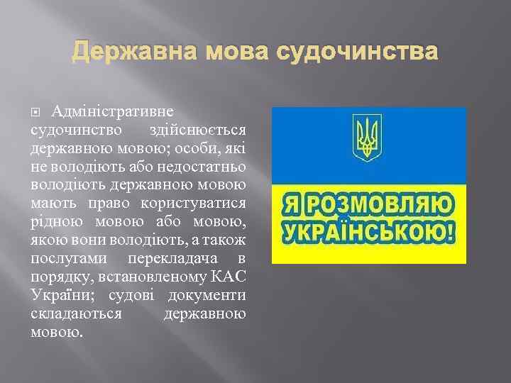 Державна мова судочинства Адміністративне судочинство здійснюється державною мовою; особи, які не володіють або недостатньо