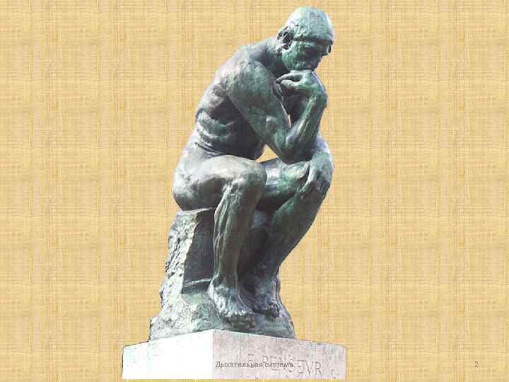 Дыхательная система 2 