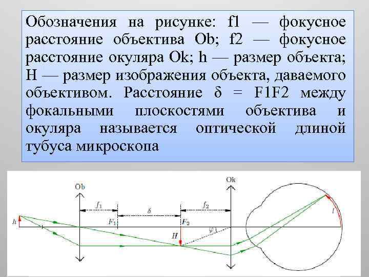 Обозначения на рисунке: f 1 — фокусное расстояние объектива Ob; f 2 — фокусное