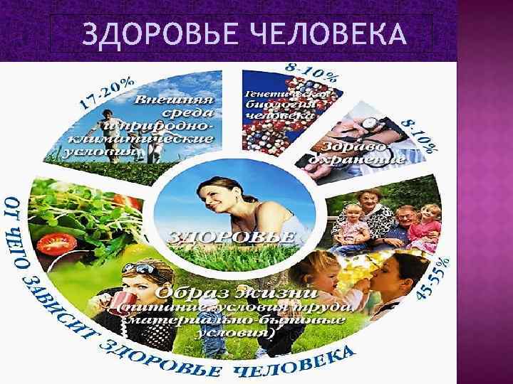 ЗДОРОВЬЕ ЧЕЛОВЕКА 