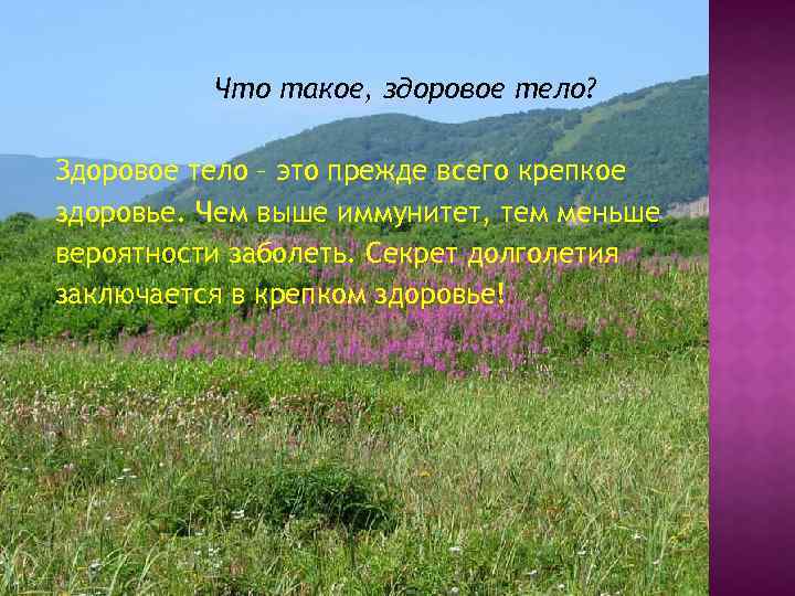 Что такое, здоровое тело? Здоровое тело – это прежде всего крепкое здоровье. Чем выше