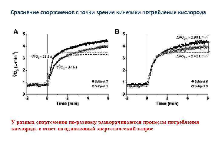 Сравнение спортсменов с точки зрения кинетики потребления кислорода У разных спортсменов по-разному разворачиваются процессы